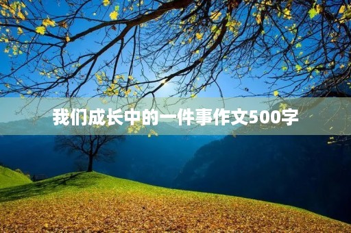 我们成长中的一件事作文500字 我们成长中的一件事作文500字