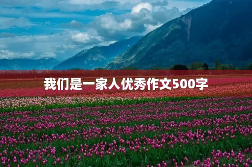 我们是一家人优秀作文500字 我们是一家人优秀作文500字
