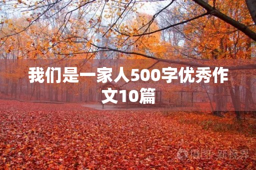我们是一家人500字优秀作文10篇 我们是一家人500字优秀作文10篇