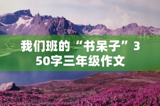 我们班的“书呆子”350字三年级作文