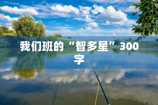 我们班的“智多星”300字