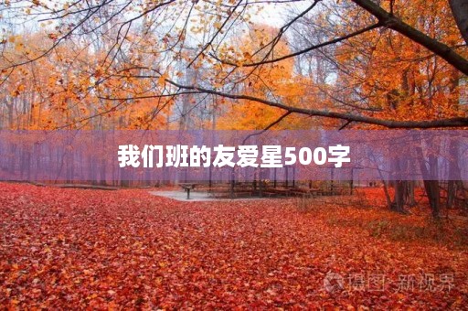 我们班的友爱星500字