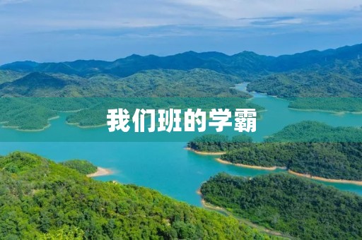 我们班的学霸 我们班的学霸