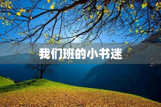 我们班的小书迷