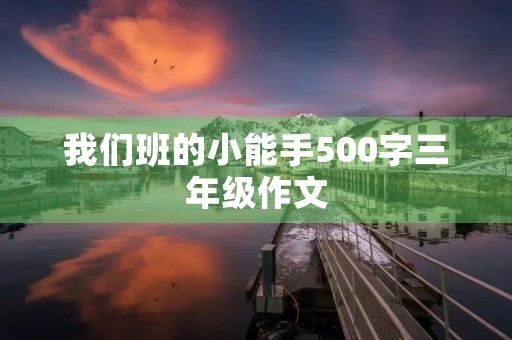 我们班的小能手500字三年级作文