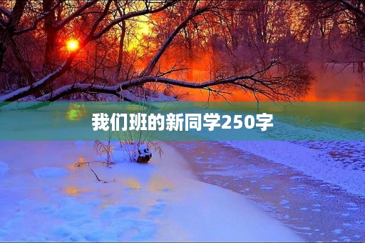 我们班的新同学250字