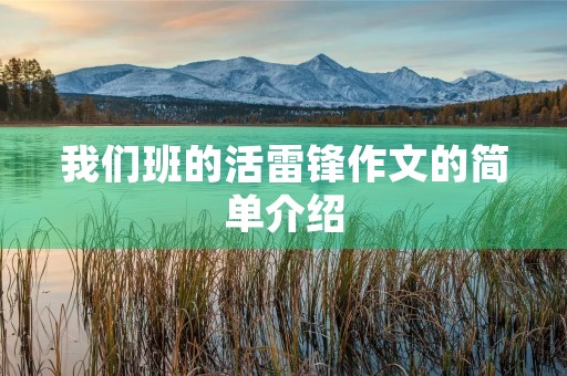 我们班的活雷锋作文的简单介绍 我们班的活雷锋作文的简单介绍