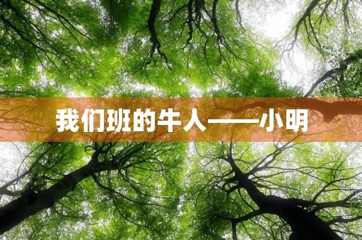 我们班的牛人——小明