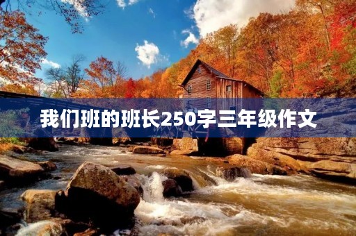 我们班的班长250字三年级作文 我们班的班长250字三年级作文