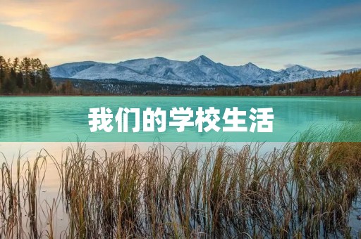 我们的学校生活 我们的学校生活