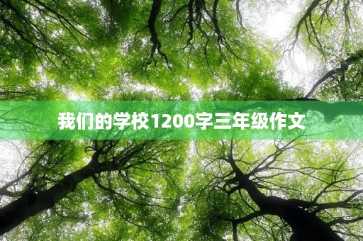 我们的学校1200字三年级作文 我们的学校1200字三年级作文