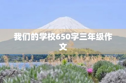 我们的学校650字三年级作文