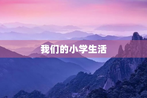 我们的小学生活