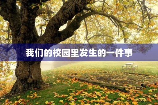 我们的校园里发生的一件事