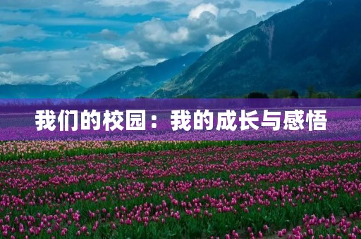 我们的校园:我的成长与感悟 我们的校园:我的成长与感悟