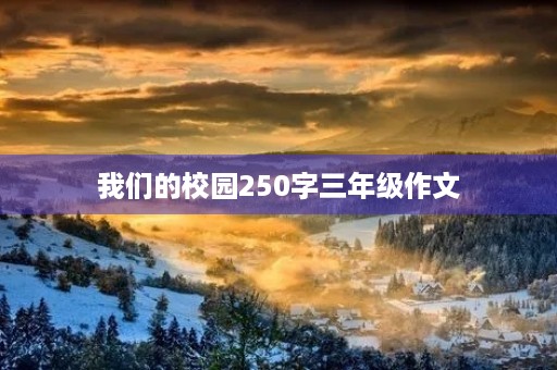 我们的校园250字三年级作文