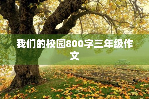 我们的校园800字三年级作文 我们的校园800字三年级作文