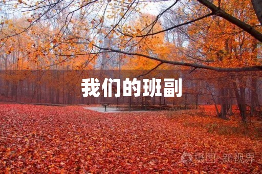 我们的班副 我们的班副