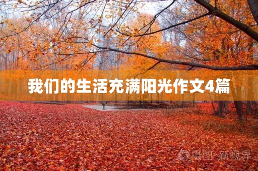 我们的生活充满阳光作文4篇