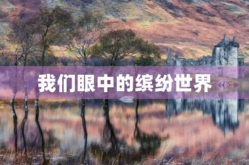 我们眼中的缤纷世界 我们眼中的缤纷世界