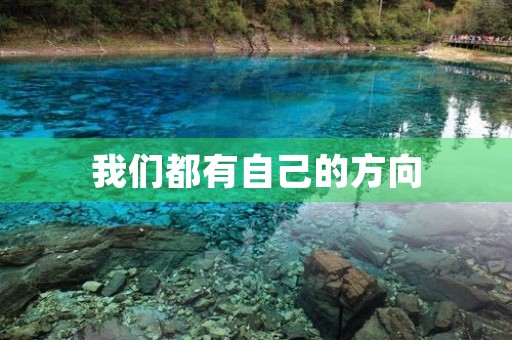 我们都有自己的方向 我们都有自己的方向