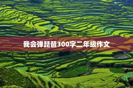 我会弹琵琶300字二年级作文