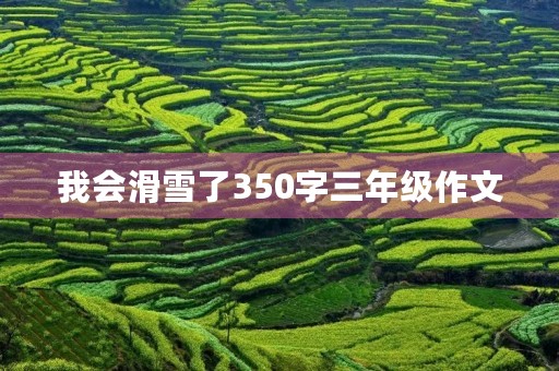 我会滑雪了350字三年级作文