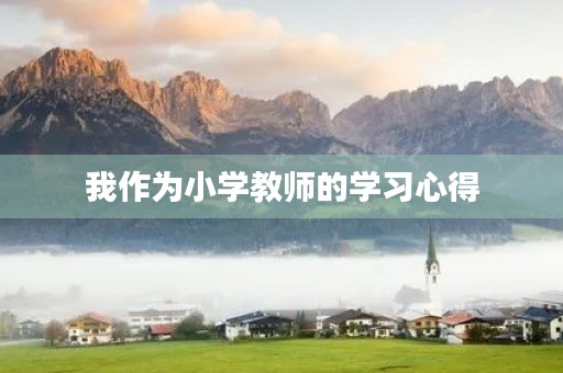 我作为小学教师的学习心得