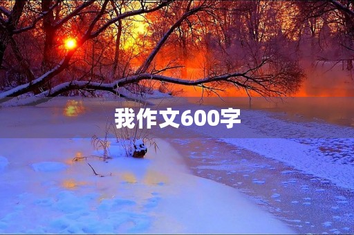 我作文600字 我作文600字