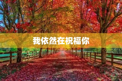 我依然在祝福你