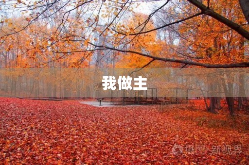 我做主，自主选择我的人生方向