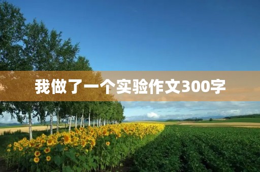 我做了一个实验作文300字 我做了一个实验作文300字