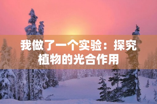 我做了一个实验：探究植物的光合作用