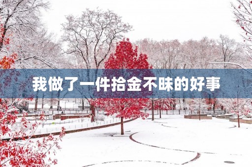 我做了一件拾金不昧的好事 我做了一件拾金不昧的好事
