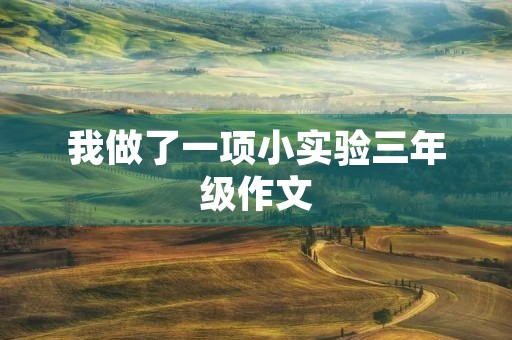 我做了一项小实验三年级作文