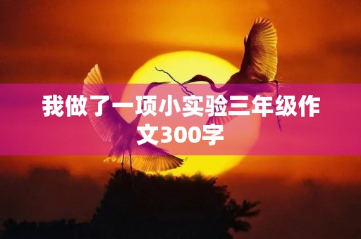 我做了一项小实验三年级作文300字 我做了一项小实验三年级作文300字