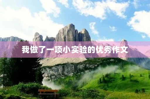 我做了一项小实验的优秀作文 我做了一项小实验的优秀作文