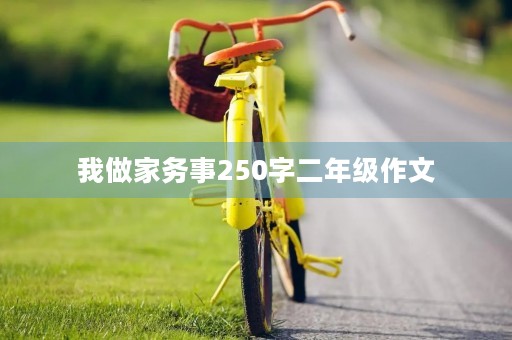 我做家务事250字二年级作文