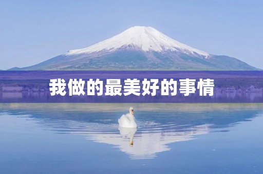 我做的最美好的事情