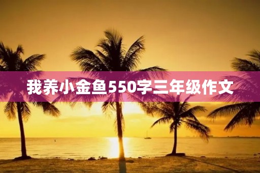 我养小金鱼550字三年级作文