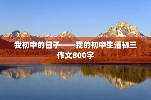 我初中的日子——我的初中生活初三作文800字 我初中的日子——我的初中生活初三作文800字