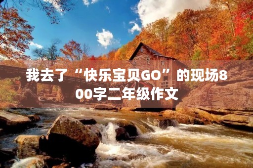 我去了“快乐宝贝GO”的现场800字二年级作文