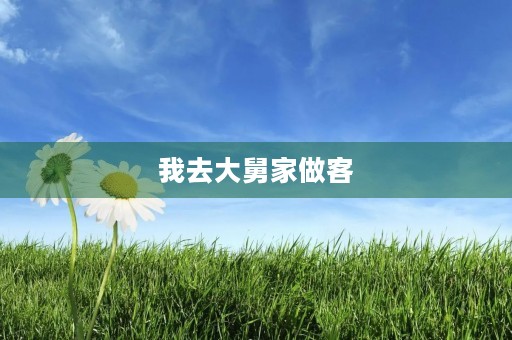 我去大舅家做客