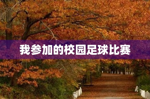 我参加的校园足球比赛 我参加的校园足球比赛