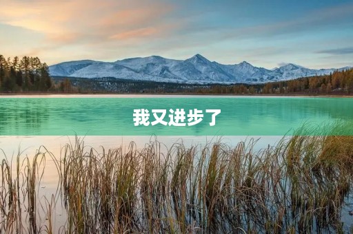 我又进步了 我又进步了