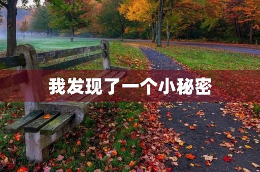 我发现了一个小秘密 我发现了一个小秘密