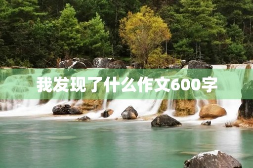 我发现了什么作文600字