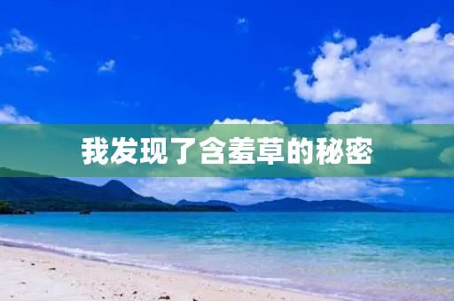 我发现了含羞草的秘密 我发现了含羞草的秘密