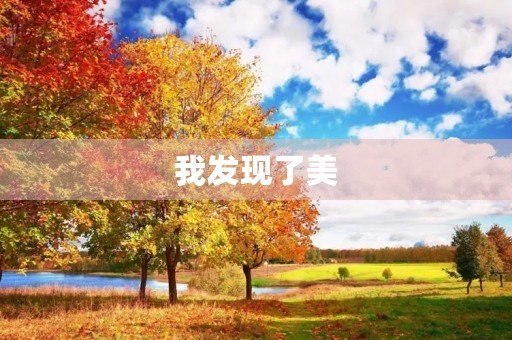 我发现了美 我发现了美