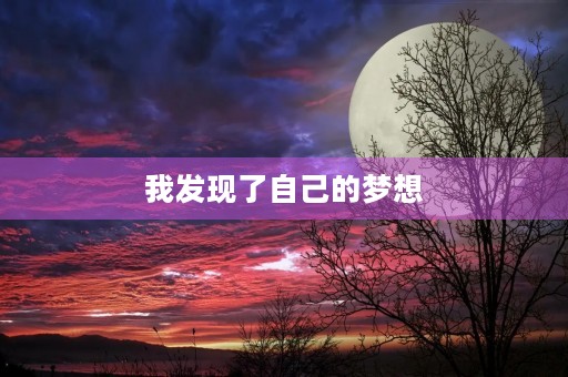 我发现了自己的梦想